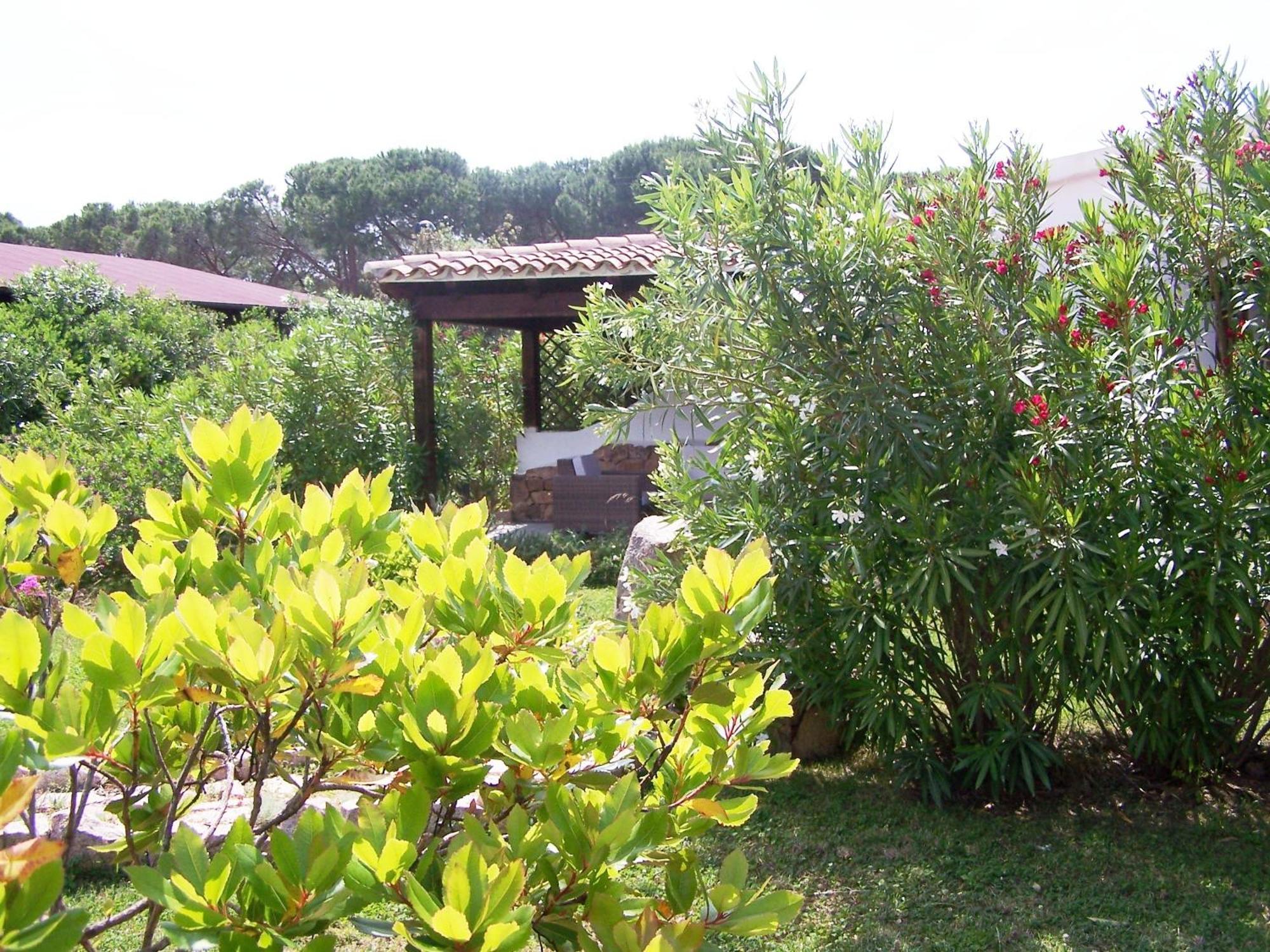 Hotel Club Ragno D'oro 3*