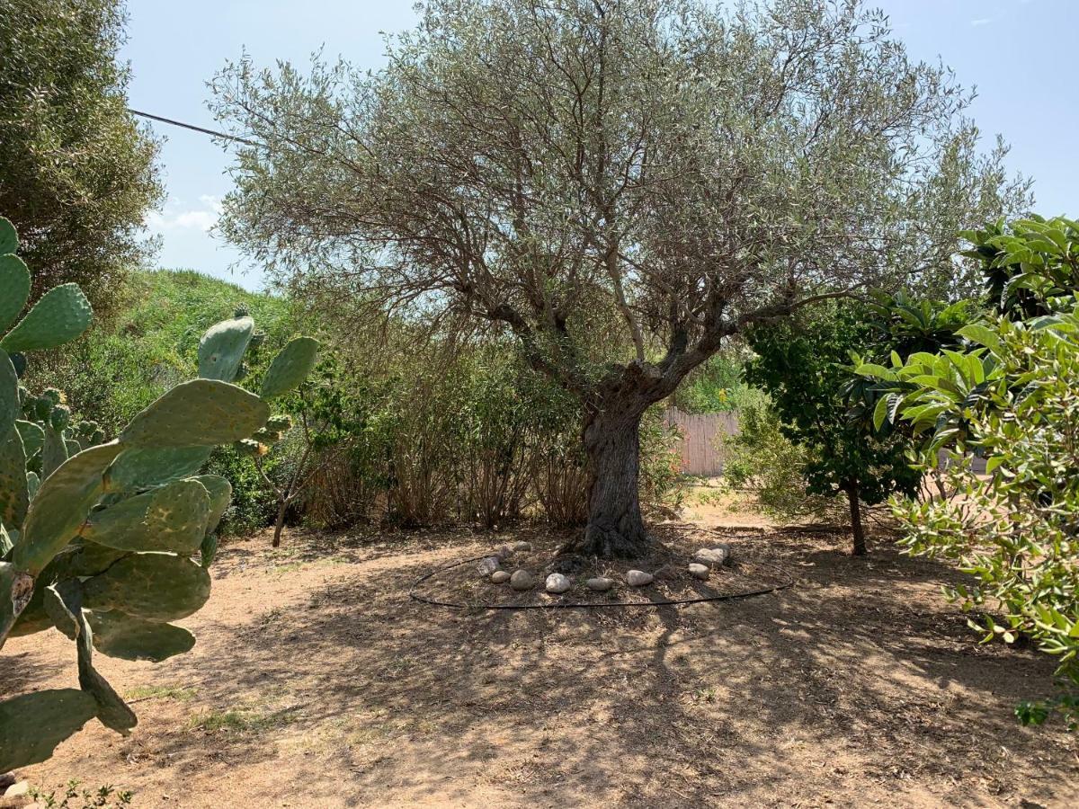 Club Ragno D'oro 3* Olbia Tempio